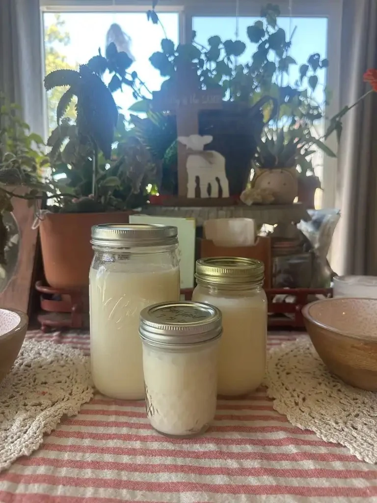 Three glass jars of home-rendered beef tallow in different sizes